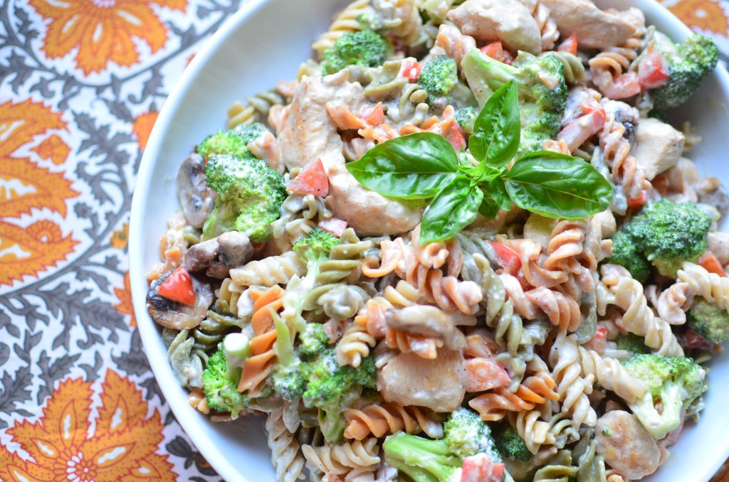 Chicken Alfredo aerial closeup